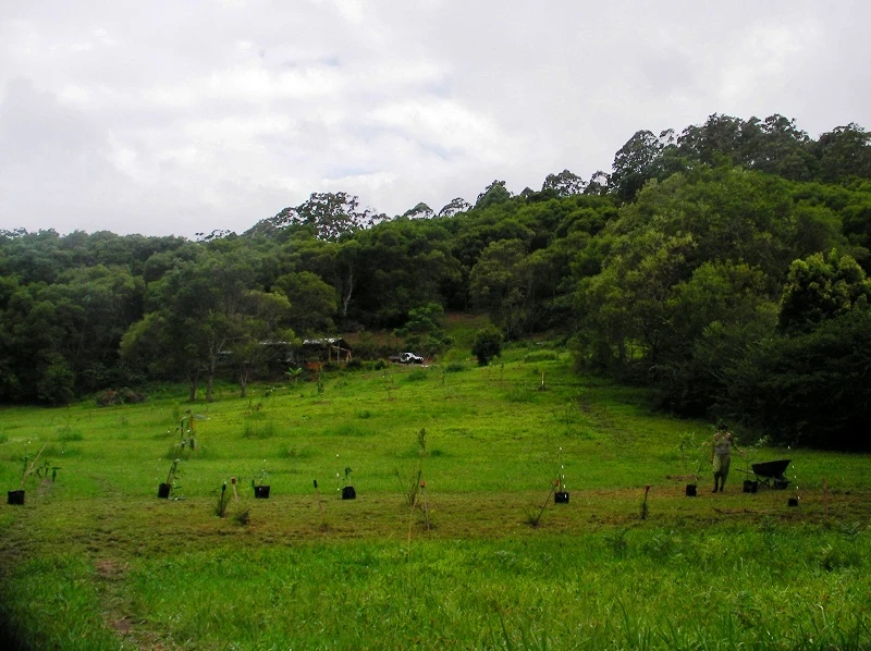 we can plant out your property