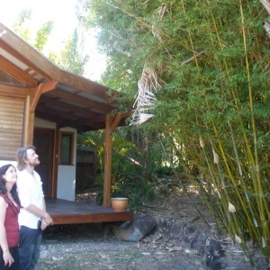 Client Bamboo Consult