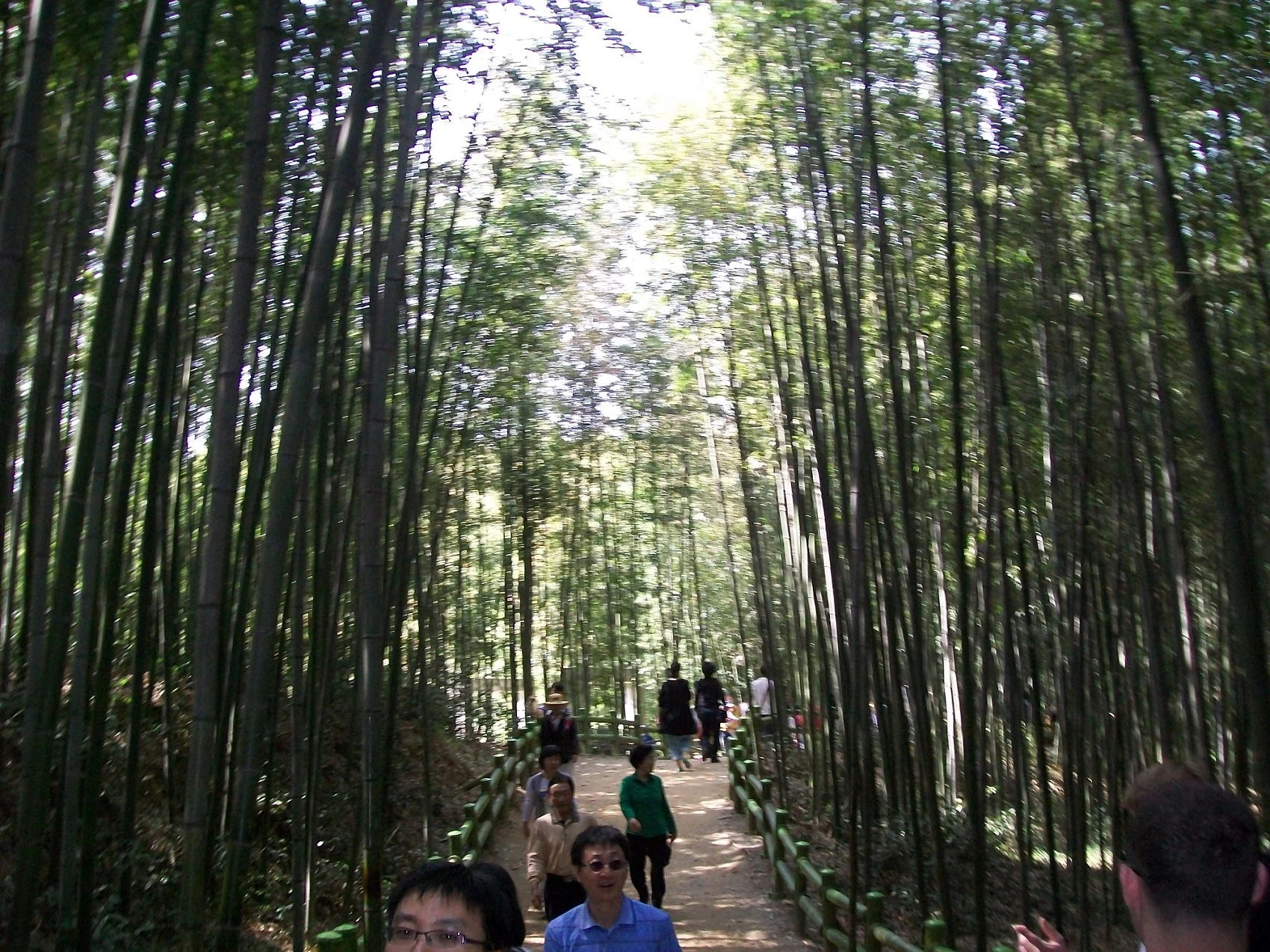 Korea Damyang Bamboo Forest smaller