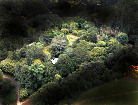 Bamboo Retreat sky view