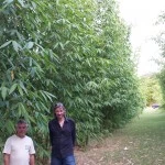 Jims plantation Cutloose with Rob at BelloBamboo