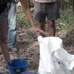 Borax treatment Method