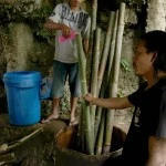 East Bali pour into bamboo