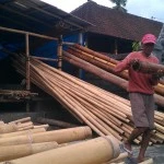 Freemite Bali Treatment (3)