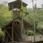 Vertical Diffusion East Bali Poverty Project